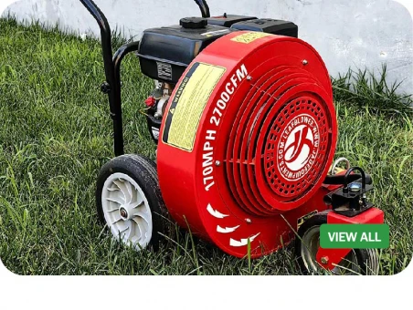 Walk Behind Leaf Blowers