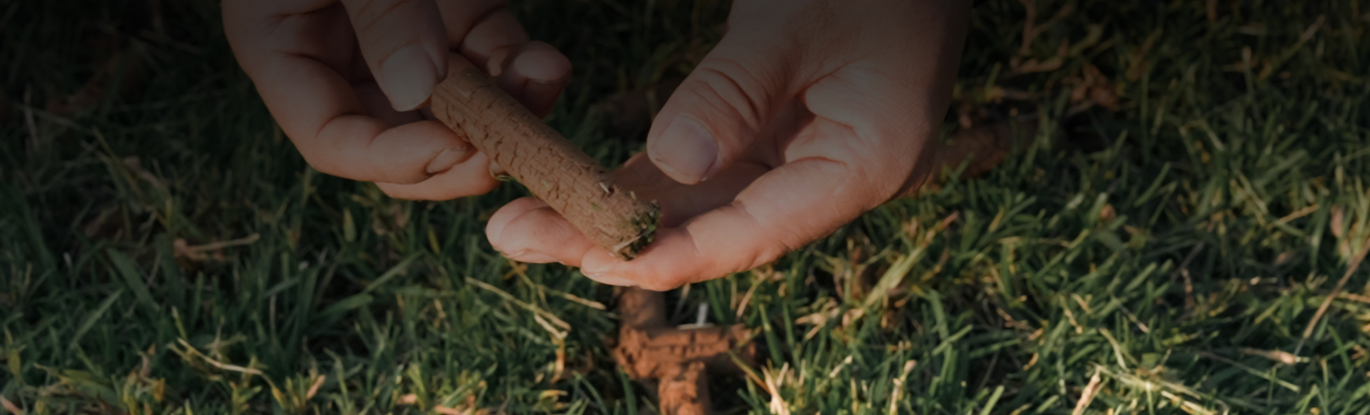 Kutter Lawn Aerators