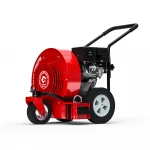 Walk Behind Leaf Blowers